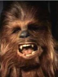 Chewbacca