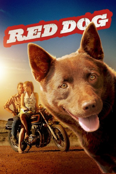 Red Dog