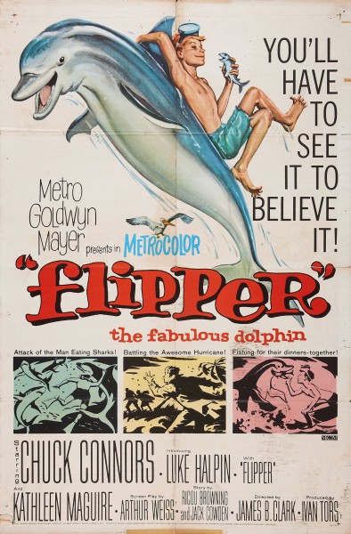 Flipper