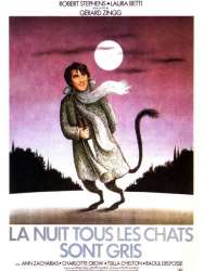 La nuit, tous les chats sont gris