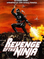 Ninja II Ultime Violence