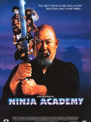 Ninja Academy