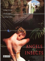 Des anges et des insectes