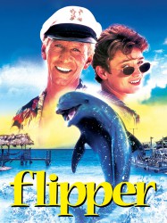 Flipper