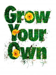 Grow Your Own