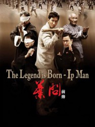 Ip Man : La Légende est née