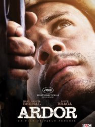 Ardor