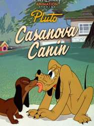 Casanova Canin