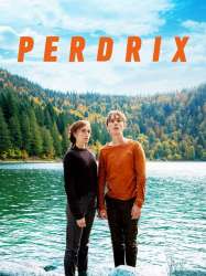 Perdrix