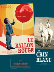 Crin blanc: Le cheval sauvage