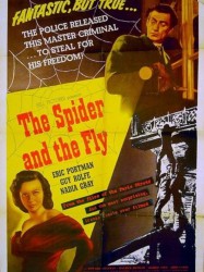 The Spider and the Fly