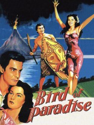 L'Oiseau de paradis