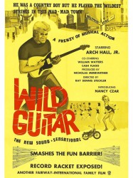 Wild Guitar