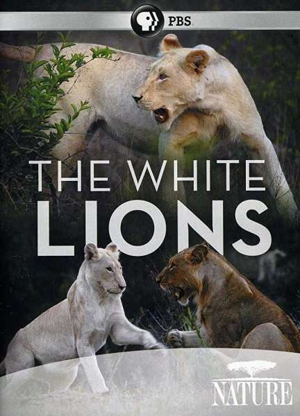 The White Lions