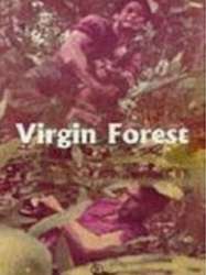 Virgin Forest