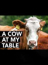 A Cow at My Table