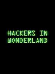 Hackers in Wonderland