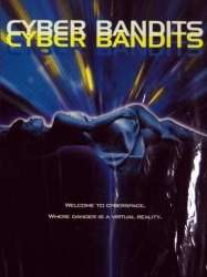 Cyber Bandits