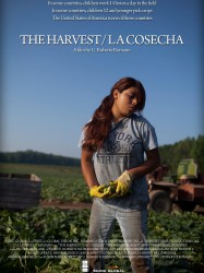 The Harvest (La Cosecha)