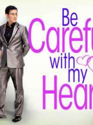 Be Careful With My Heart: The Movie