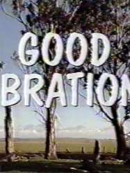Good Vibrations (miniseries)
