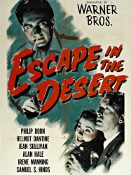 Escape in the Desert