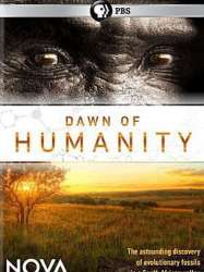 Dawn of Humanity