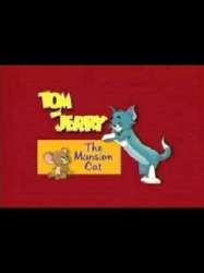 Tom et Jerry : Un chat de confiance