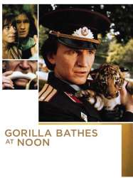 Gorilla Bathes at Noon