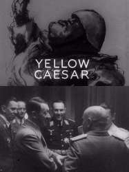 Yellow Caesar