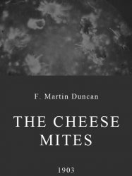 The Cheese Mites