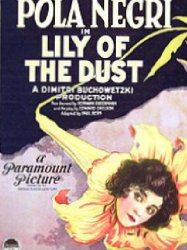 Lily of the Dust