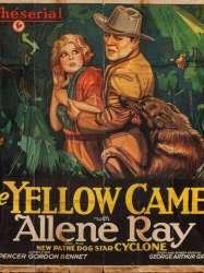 The Yellow Cameo