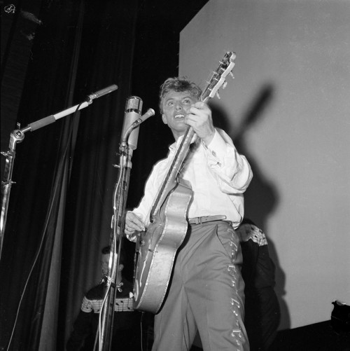 Tommy Steele