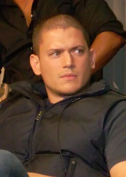 Wentworth Miller