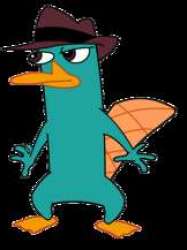 Perry the Platypus