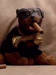 Triumph, the Insult Comic Dog