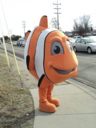 Nemo (poisson)