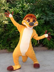 Timon (Disney)