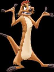 Timon