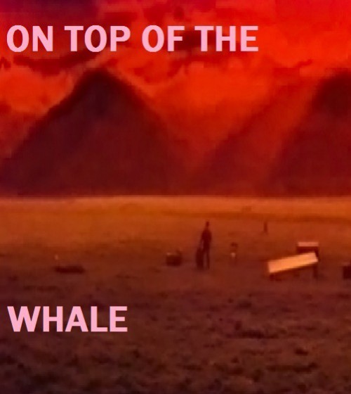 Le Toit de la baleine