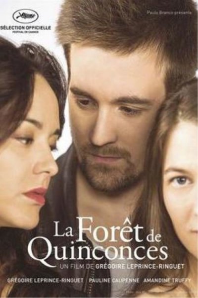 La Forêt de Quinconces