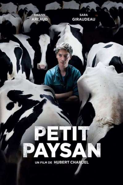 Petit Paysan