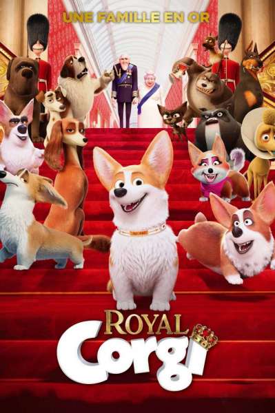 Royal Corgi