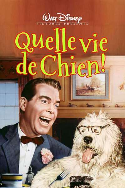 Quelle vie de chien !