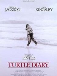 Turtle Diary