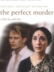 The Perfect Murder