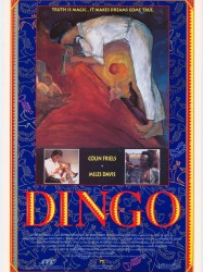 Dingo