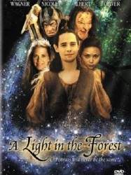 A light in the forest