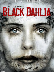 Black Dahlia